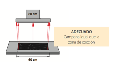 tamaño adecuado campana