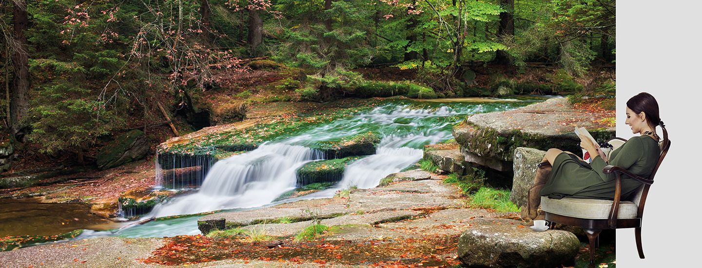 Elimina los olores, alérgenos y sustancias
contaminantes